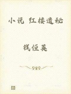 小说 红楼遗秘